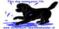 waterwerk-newfoundlander.nl